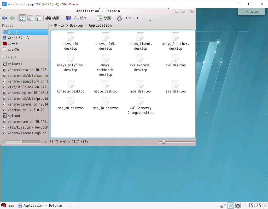 vnc-desktop.png